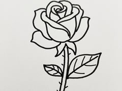 玫瑰花简笔画