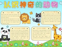 认识神奇的动物手抄报模板