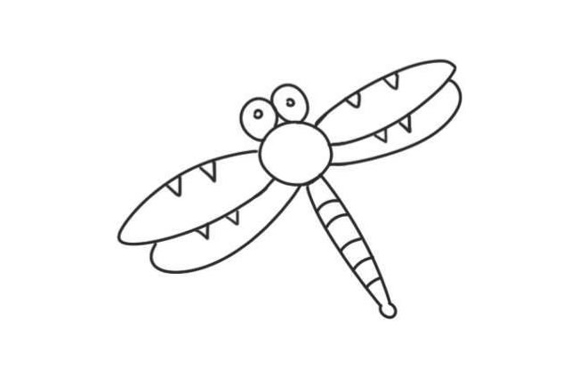 蜻蜓简笔画创作步骤图示05